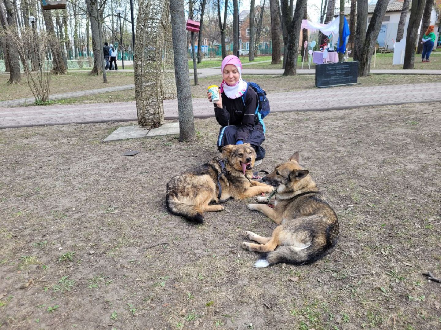 животные; видное; выставка; найди друга; центральный парк