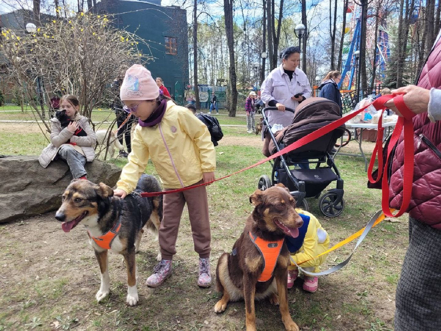 животные; видное; выставка; найди друга; центральный парк