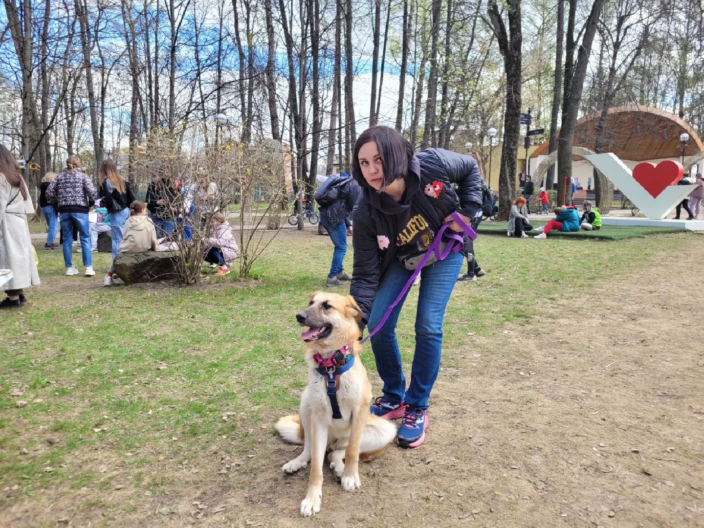 животные; видное; выставка; найди друга; центральный парк