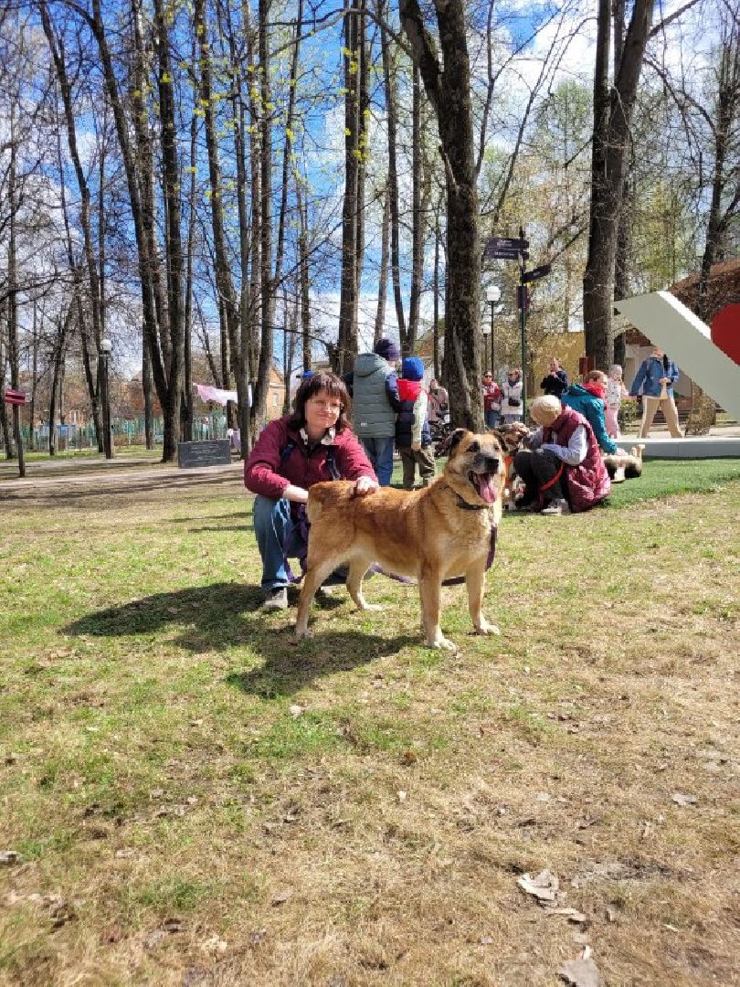 животные; видное; выставка; найди друга; центральный парк