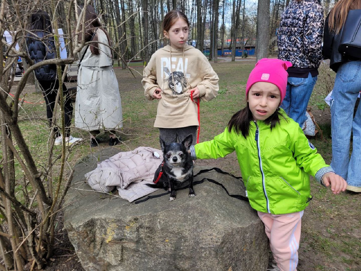 животные; видное; выставка; найди друга; центральный парк