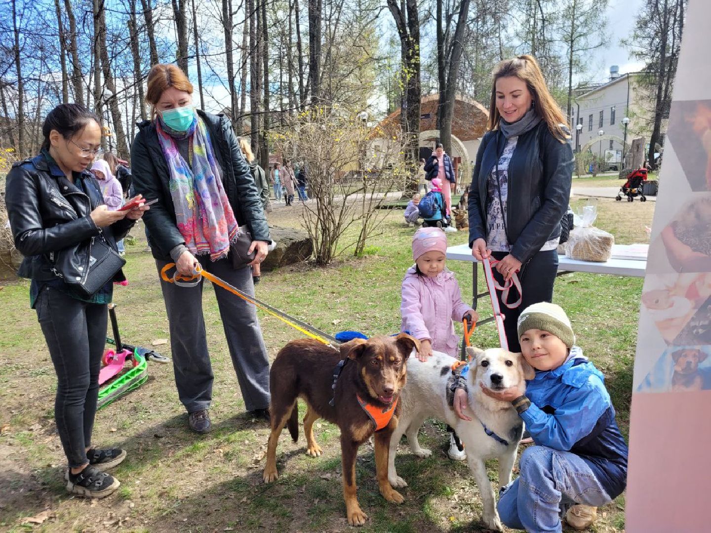 животные; видное; выставка; найди друга; центральный парк