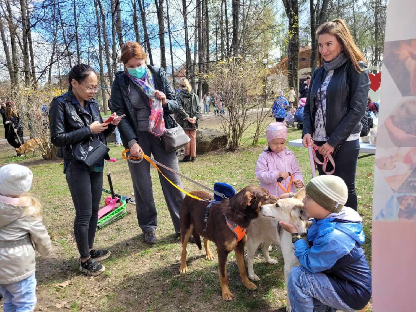 животные; видное; выставка; найди друга; центральный парк