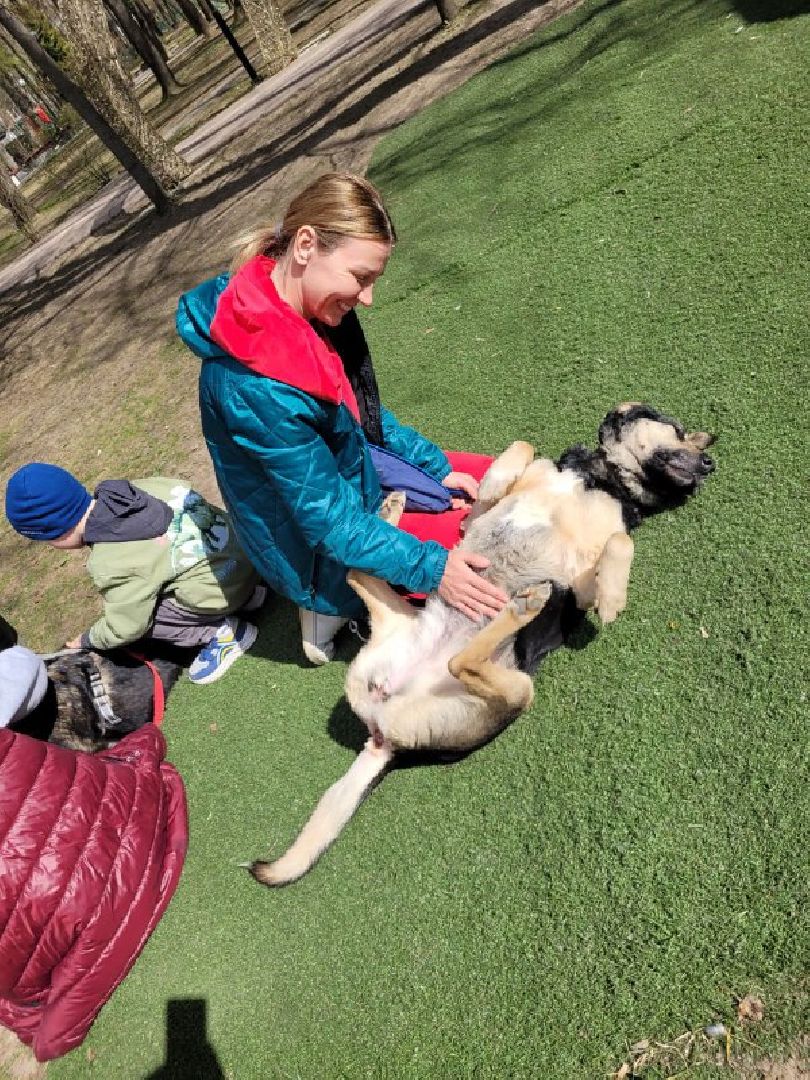 животные; видное; выставка; найди друга; центральный парк