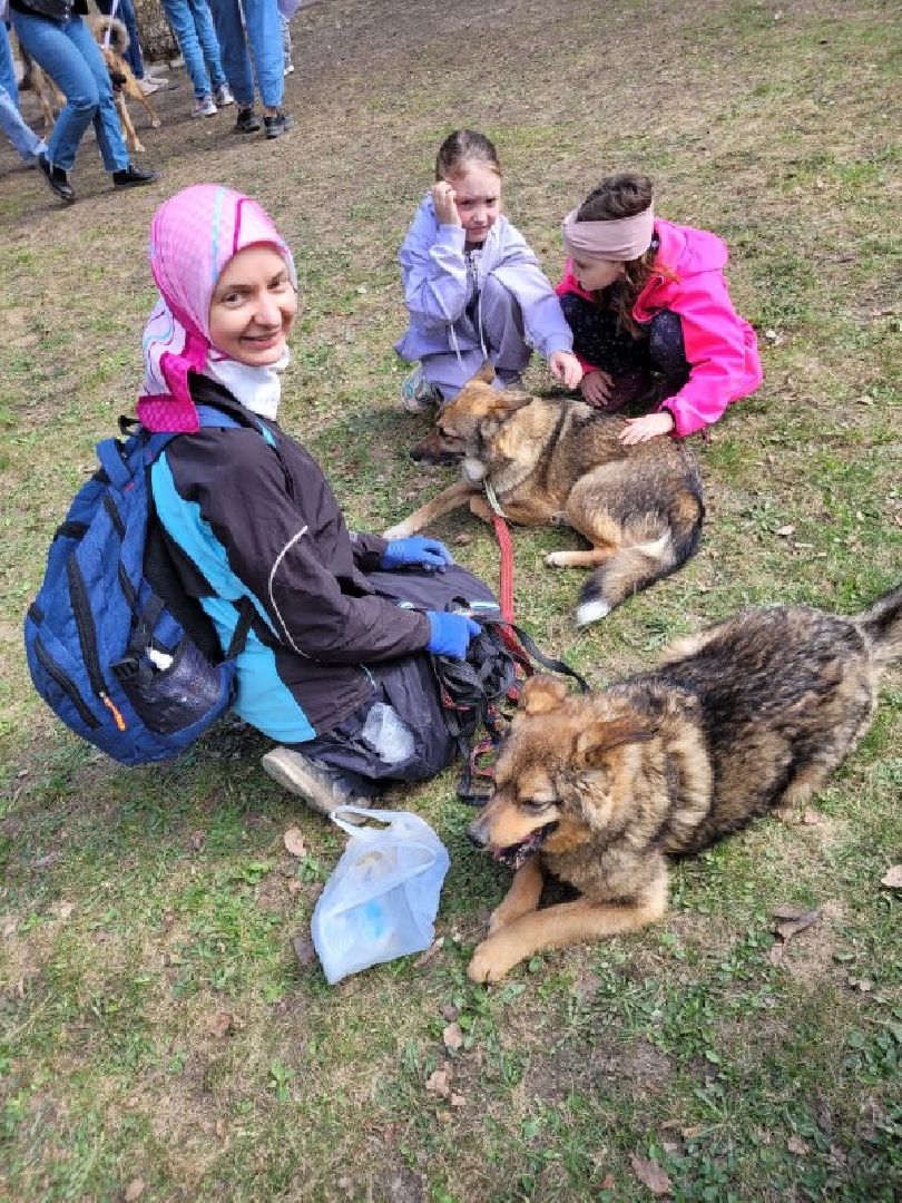 животные; видное; выставка; найди друга; центральный парк
