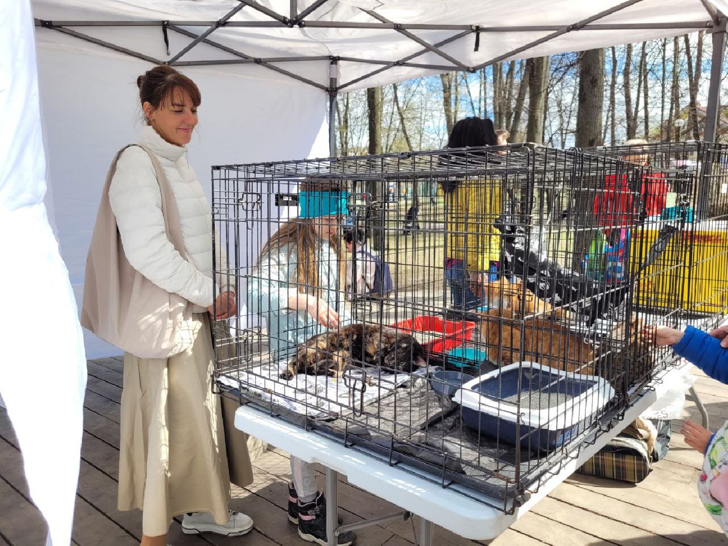 животные; видное; выставка; найди друга; центральный парк