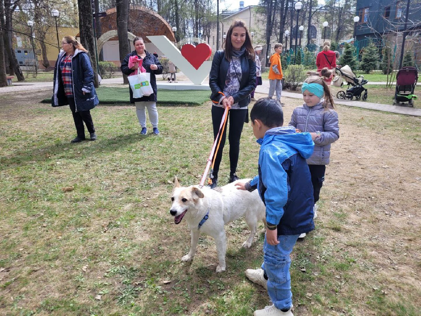 животные; видное; выставка; найди друга; центральный парк