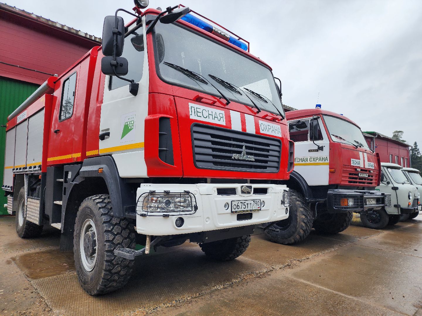 фрязино, лесная охрана, пожароопасный сезон, леса подмосковья,