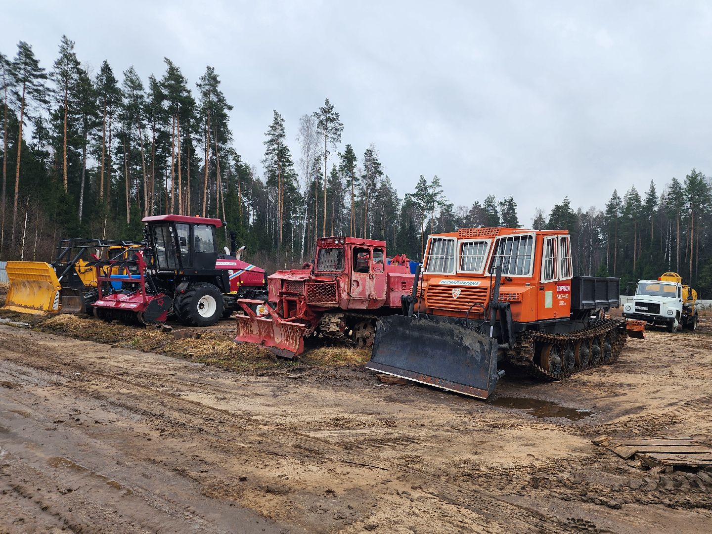 фрязино, лесная охрана, пожароопасный сезон, леса подмосковья,