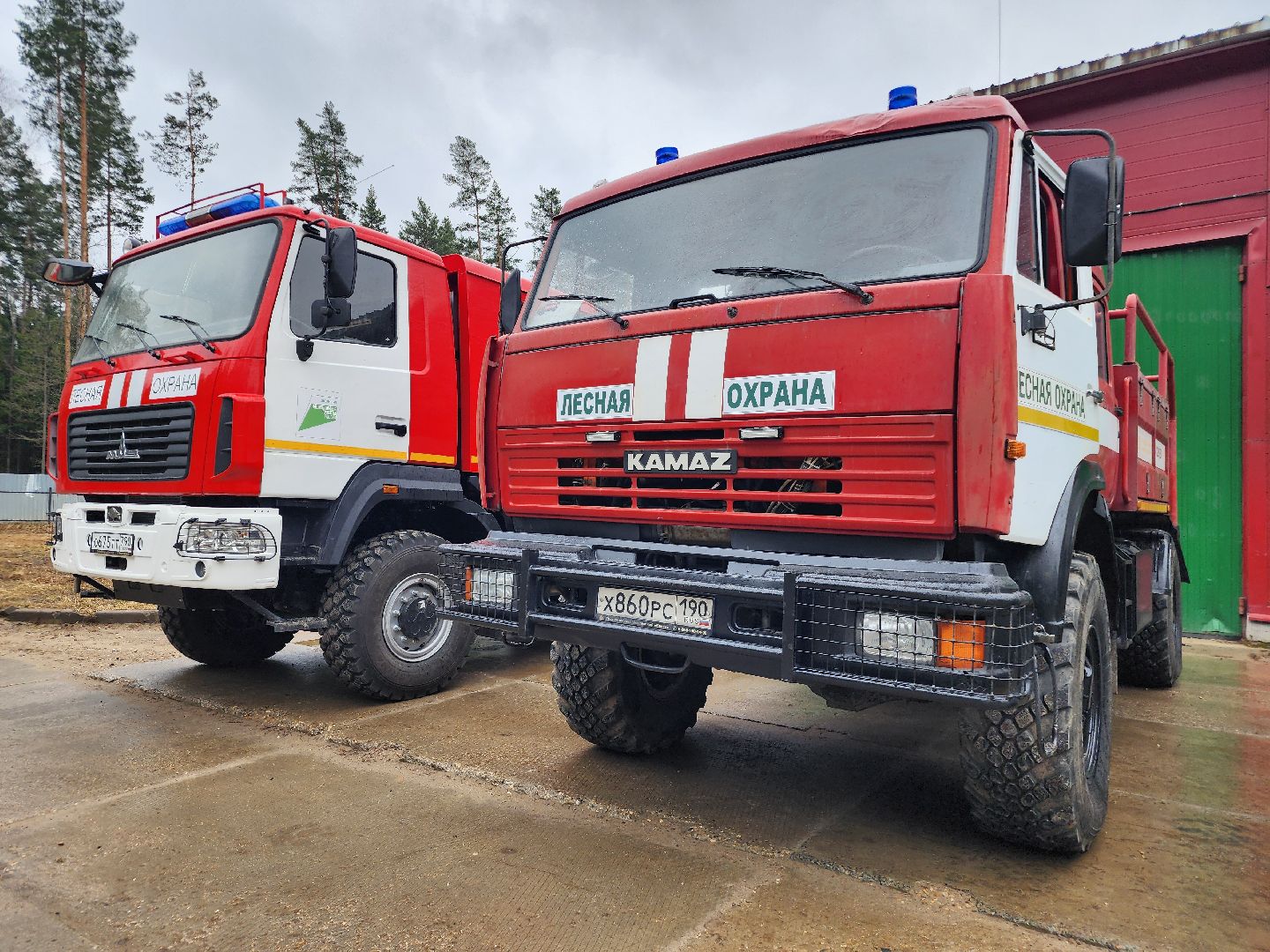 фрязино, лесная охрана, пожароопасный сезон, леса подмосковья,