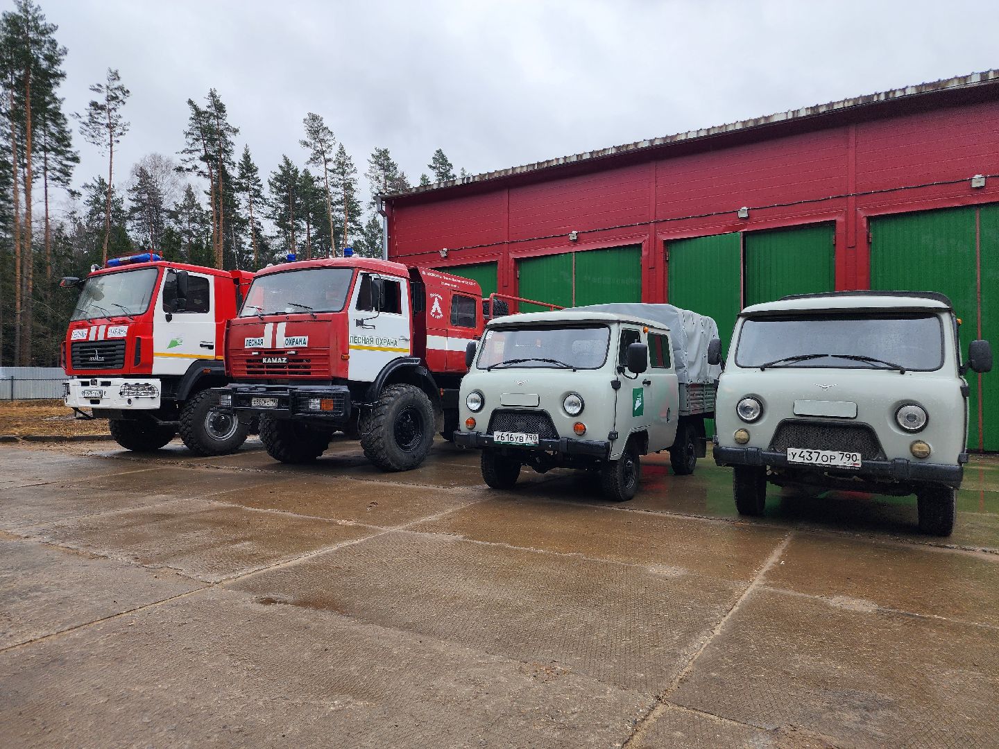 фрязино, лесная охрана, пожароопасный сезон, леса подмосковья,