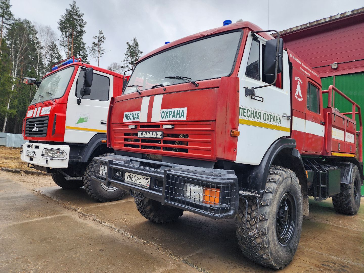 фрязино, лесная охрана, пожароопасный сезон, леса подмосковья,