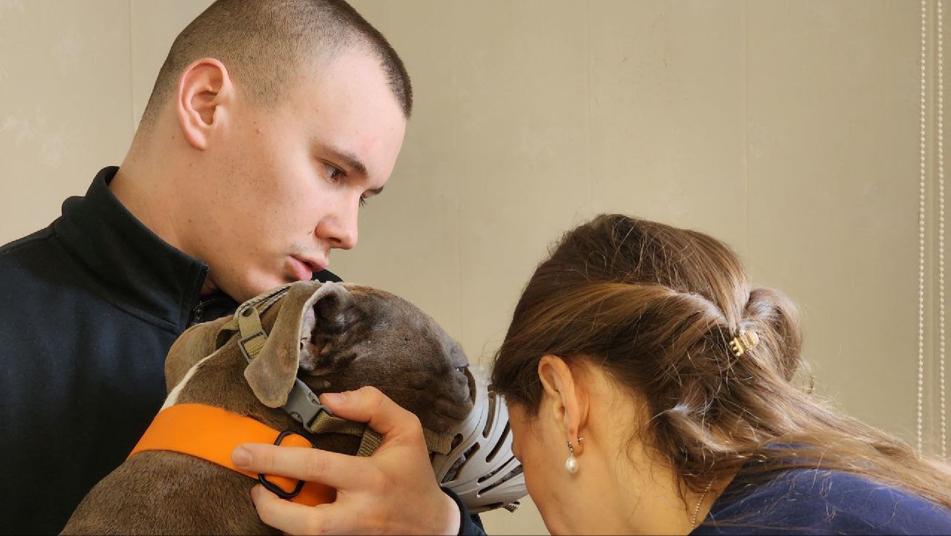 Дмитров, Госветстанция, Минсельхоз, Чипирование собак,