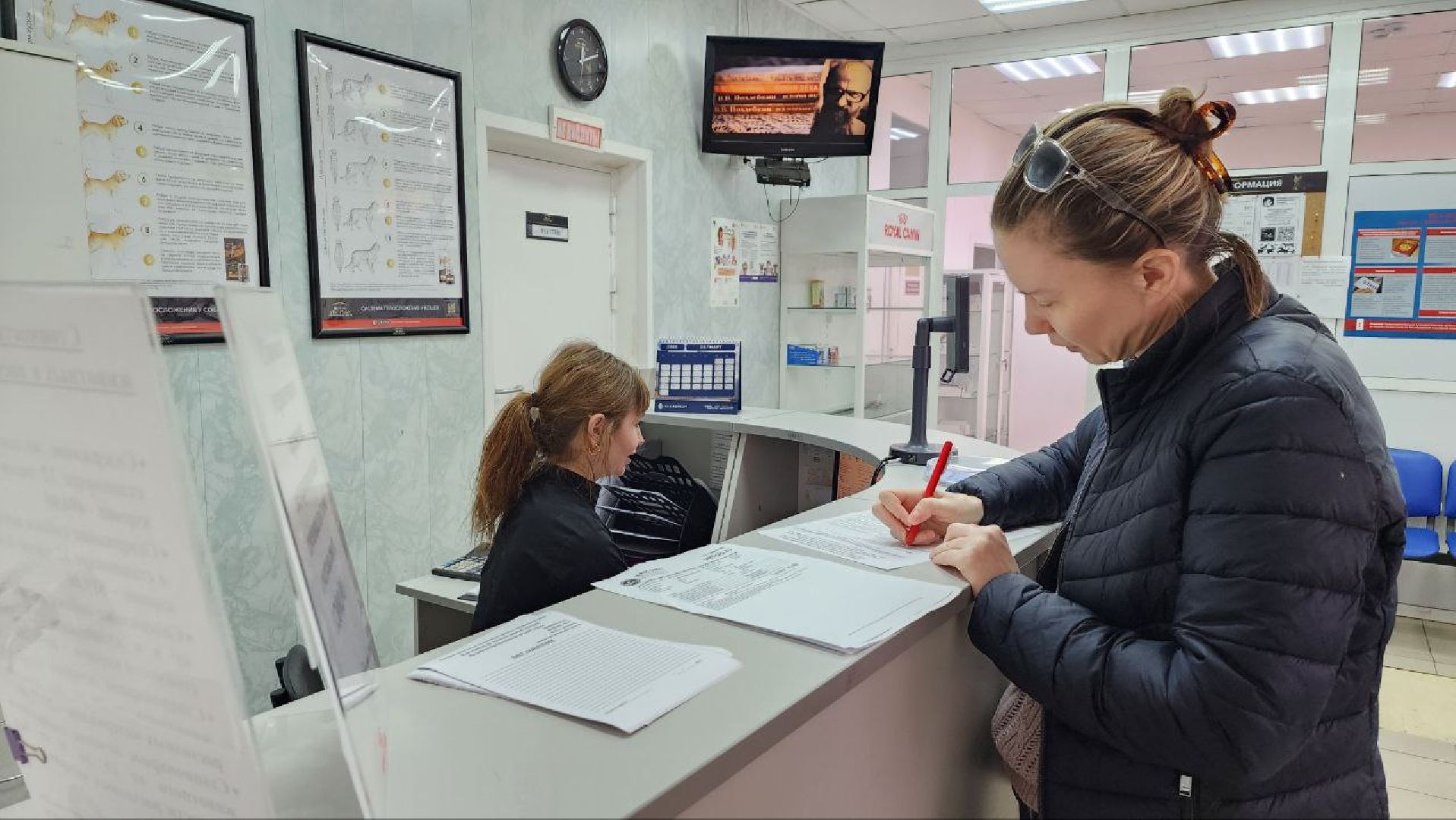 Дмитров, Госветстанция, Минсельхоз, Чипирование собак,