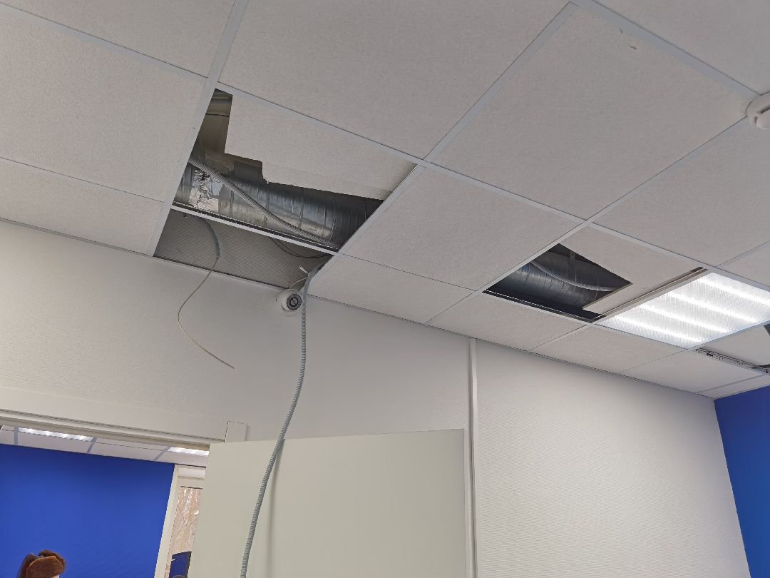 Коломна, общество