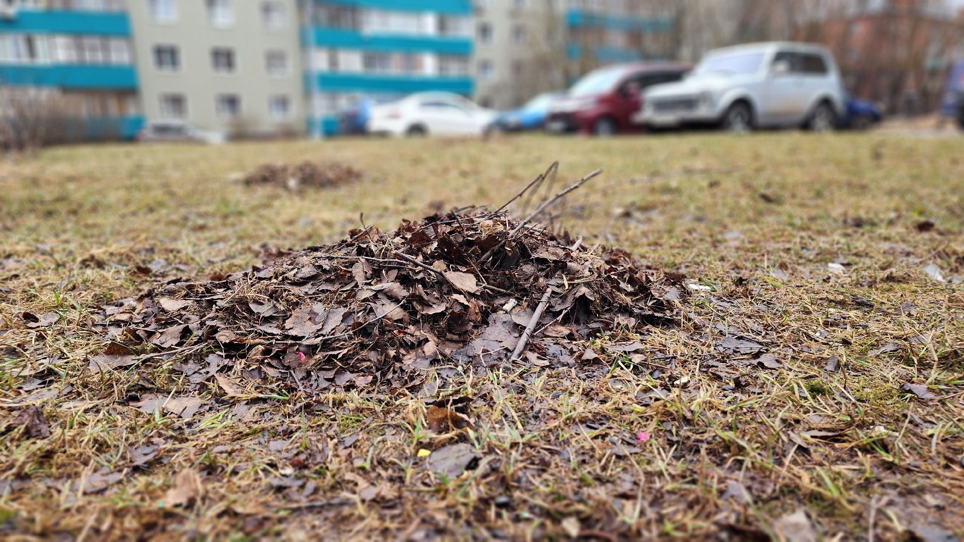 волоколамск, жкх, весенняя уборка,
