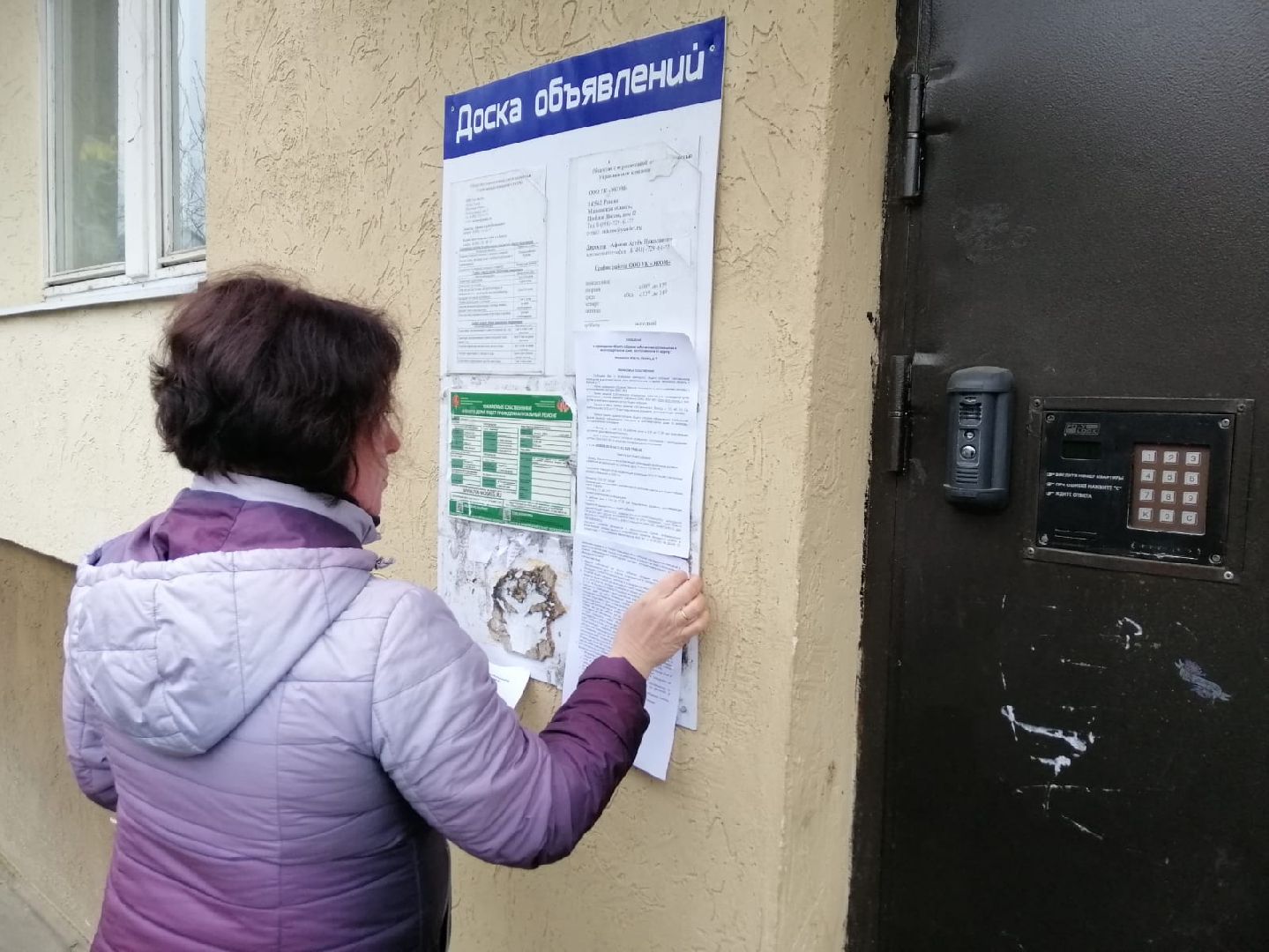 жкх, благоустрйоство, городской округ восход, онлайн-голосование, жители, многоквартирные дома,