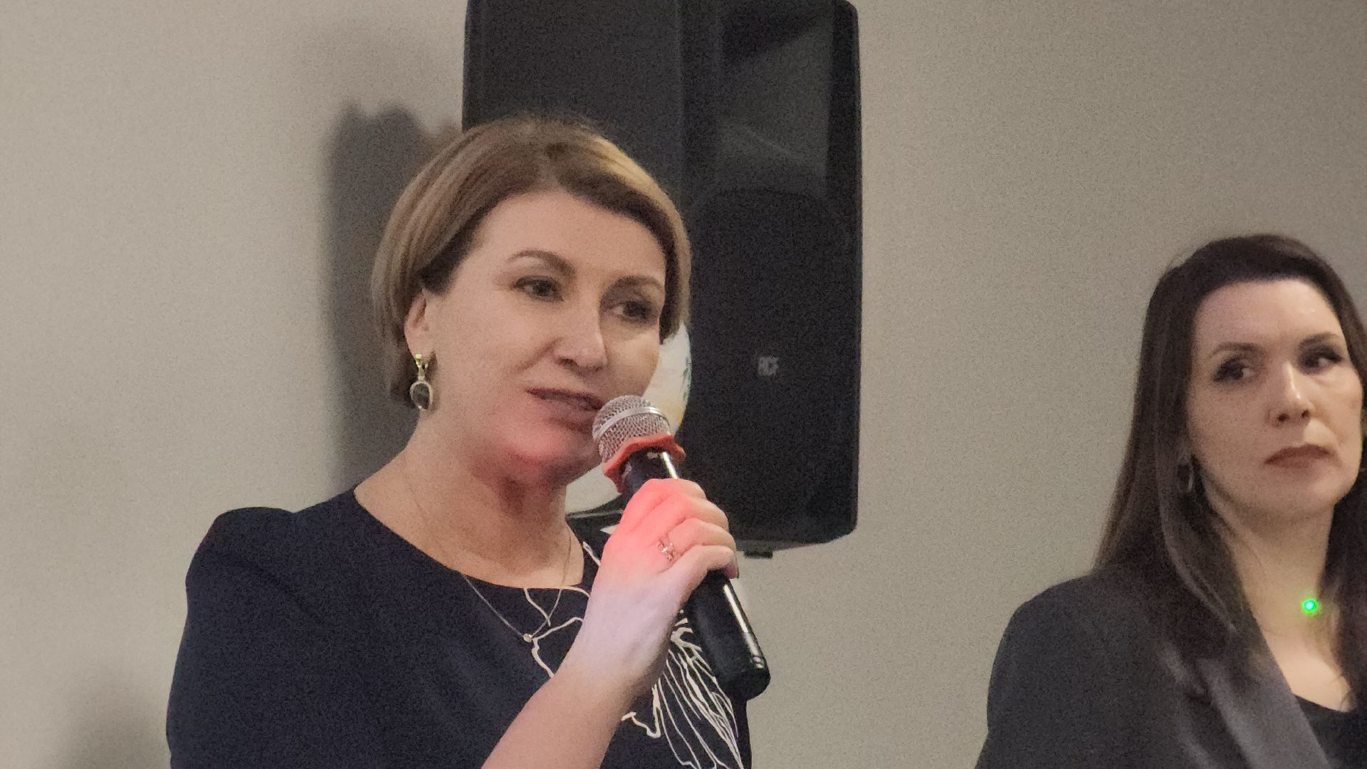 красногорск, крокус экспо, пдд,