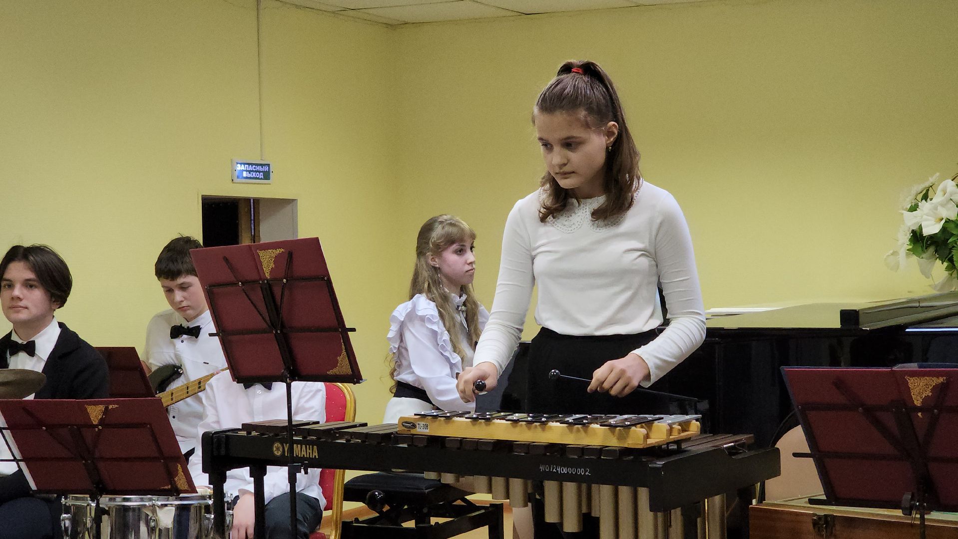 кашира, дши, музыкальная школа, оркестр, русские народные инструменты, 80 - летие победы, день победы, концерт,