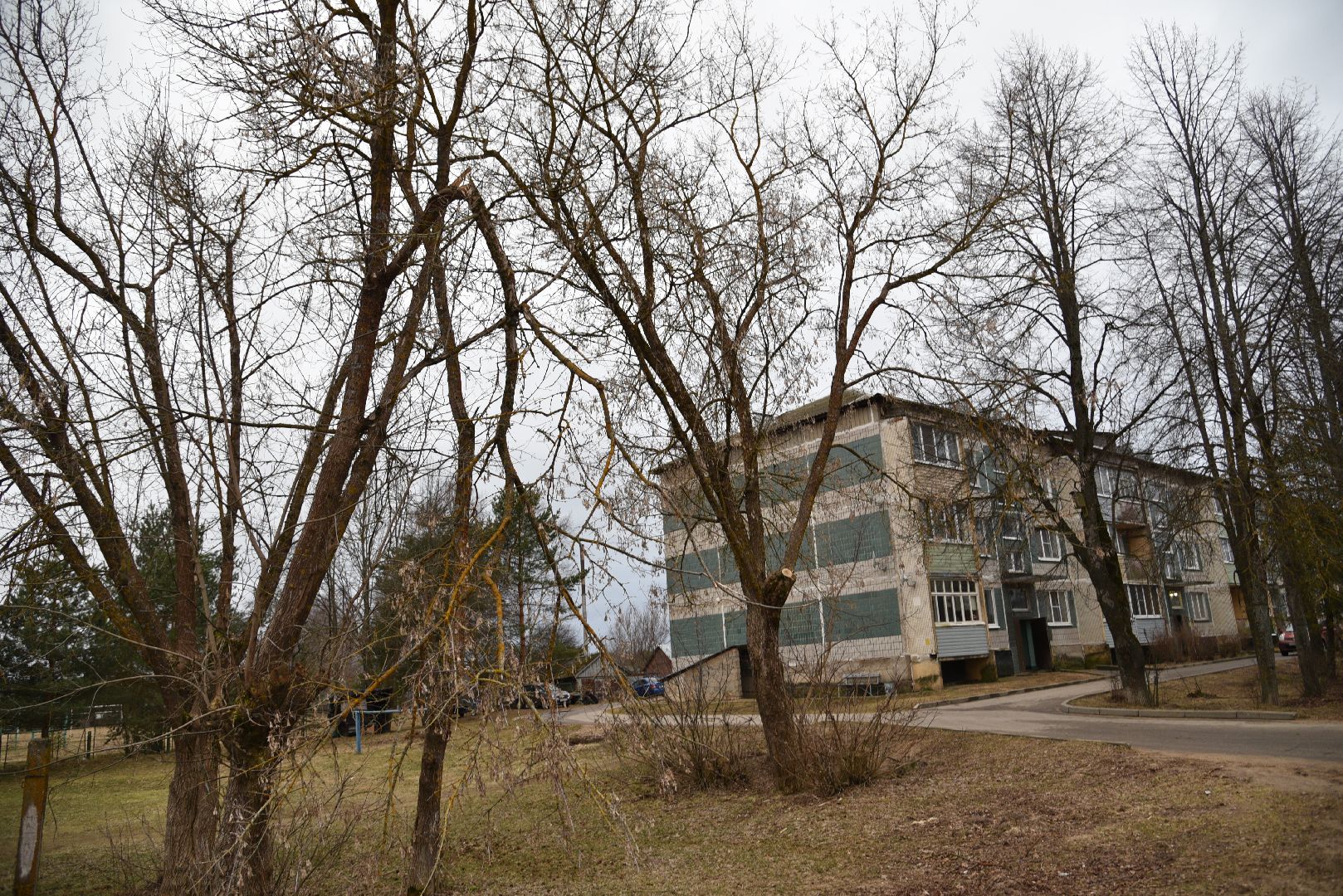 лотошино, выездная администрация, благоустройство, глава администрации, обращения жителей,