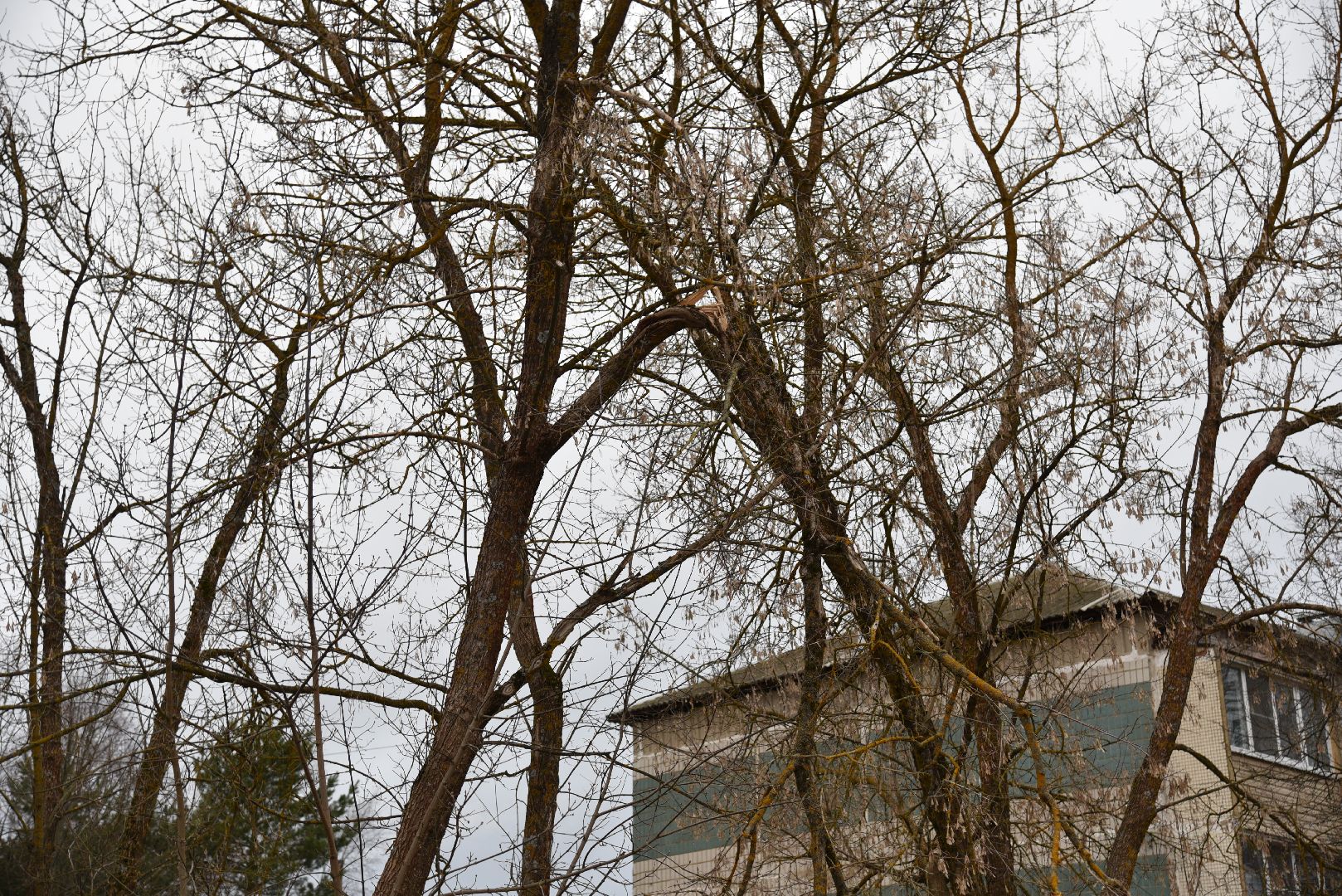 лотошино, выездная администрация, благоустройство, глава администрации, обращения жителей,