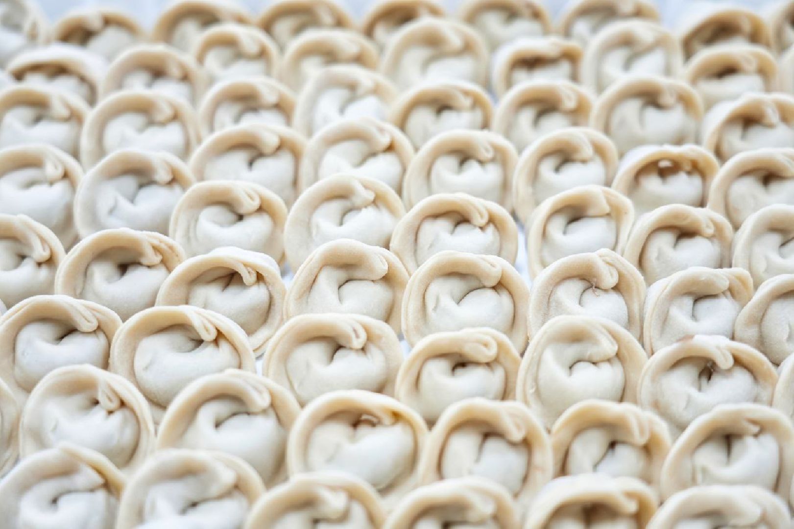 сергиев посад, СВО, специальная военная операция, бизнес, гуманитарная помощь, предприниматели,