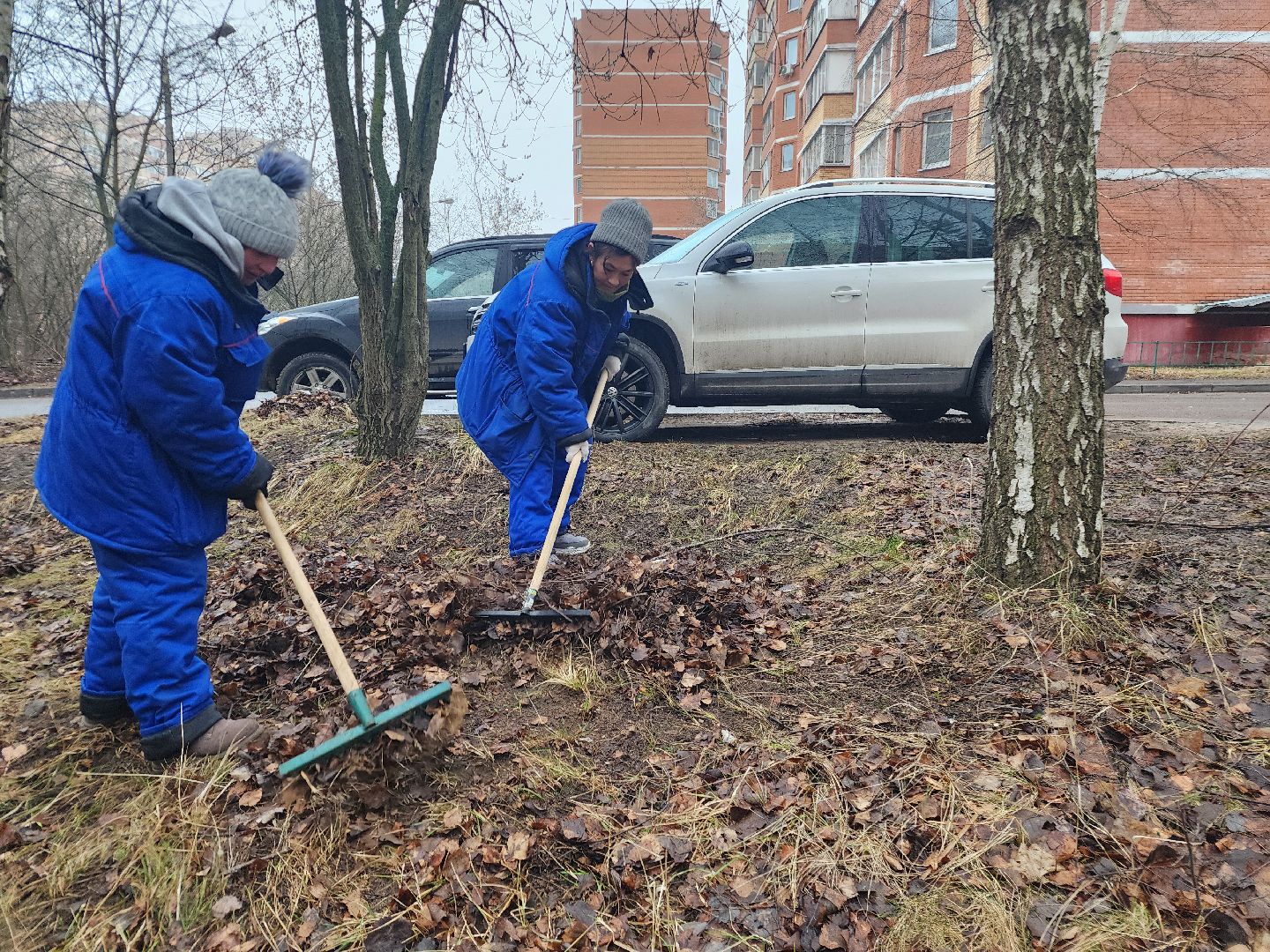 фрязино, уборка улиц, уборка газонов, мбу городское хозяйство,