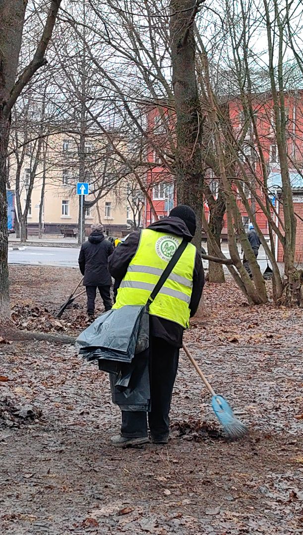 мусор, листва, мешки, набережная, коммунальщики,