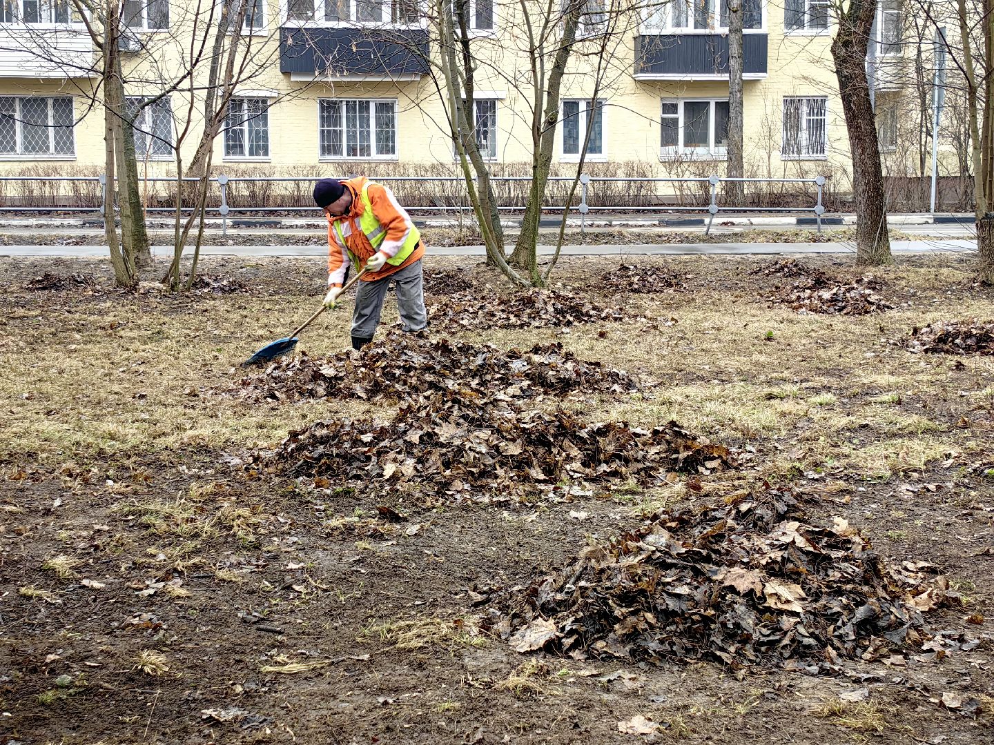 мусор, листва, мешки, набережная, коммунальщики,