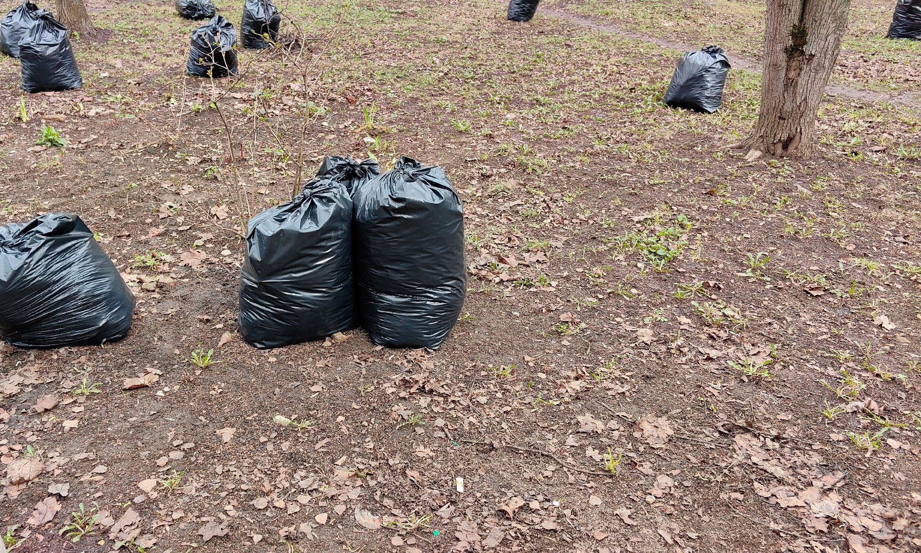 мусор, листва, мешки, набережная, коммунальщики,