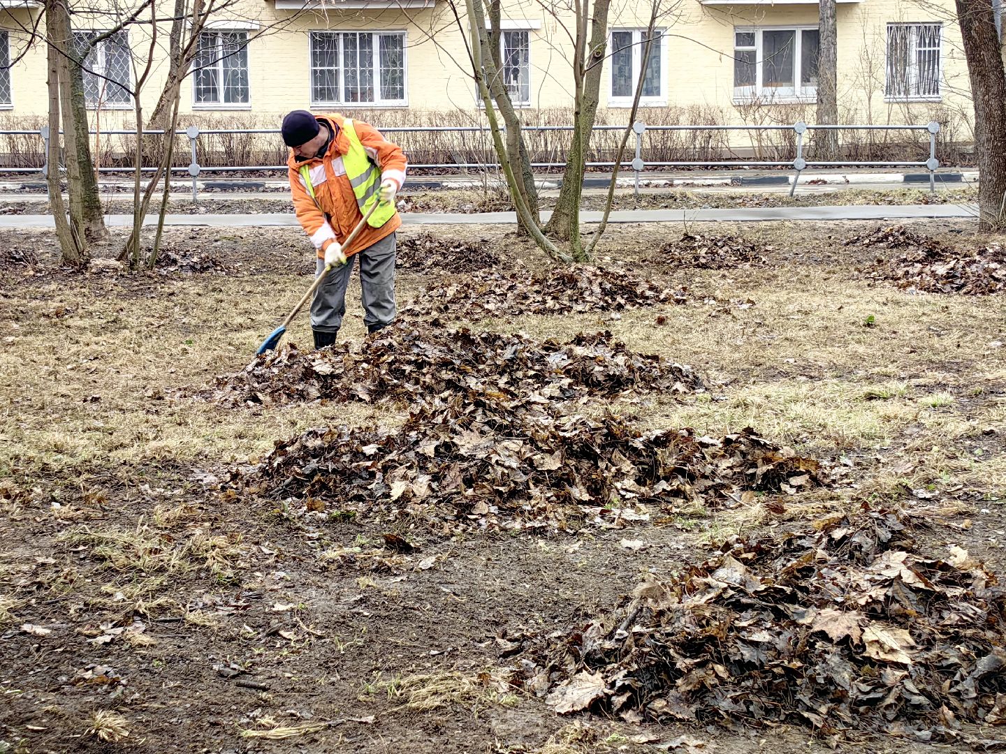 мусор, листва, мешки, набережная, коммунальщики,