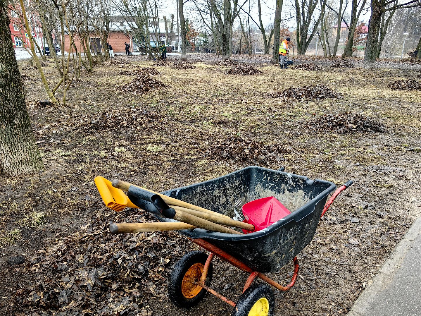 мусор, листва, мешки, набережная, коммунальщики,