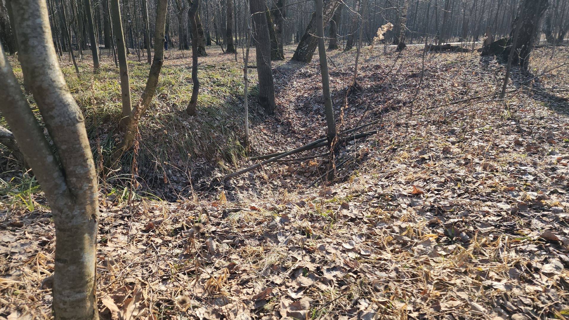 ступино, парки подмосковья, победа, 80 лет победы,