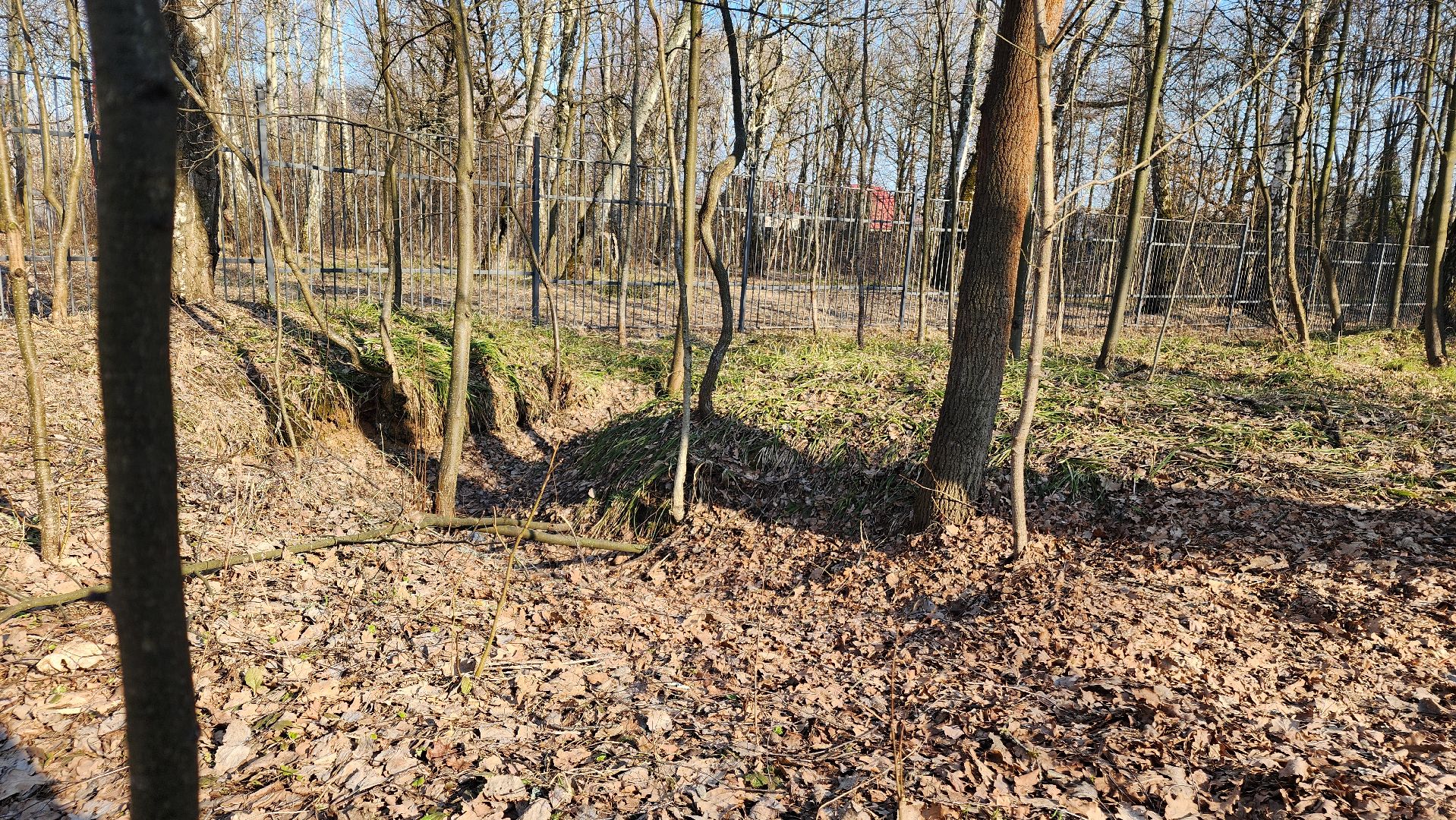 ступино, парки подмосковья, победа, 80 лет победы,