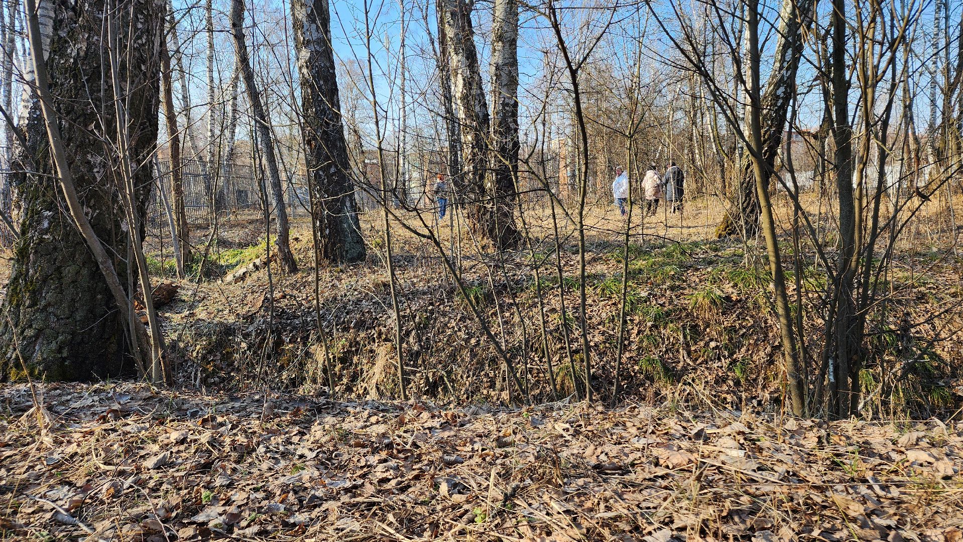 ступино, парки подмосковья, победа, 80 лет победы,