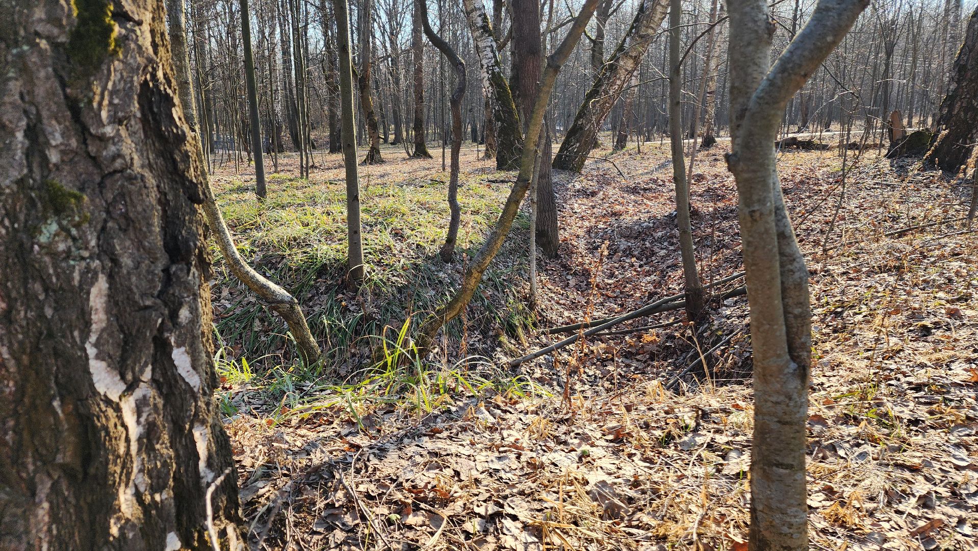 ступино, парки подмосковья, победа, 80 лет победы,