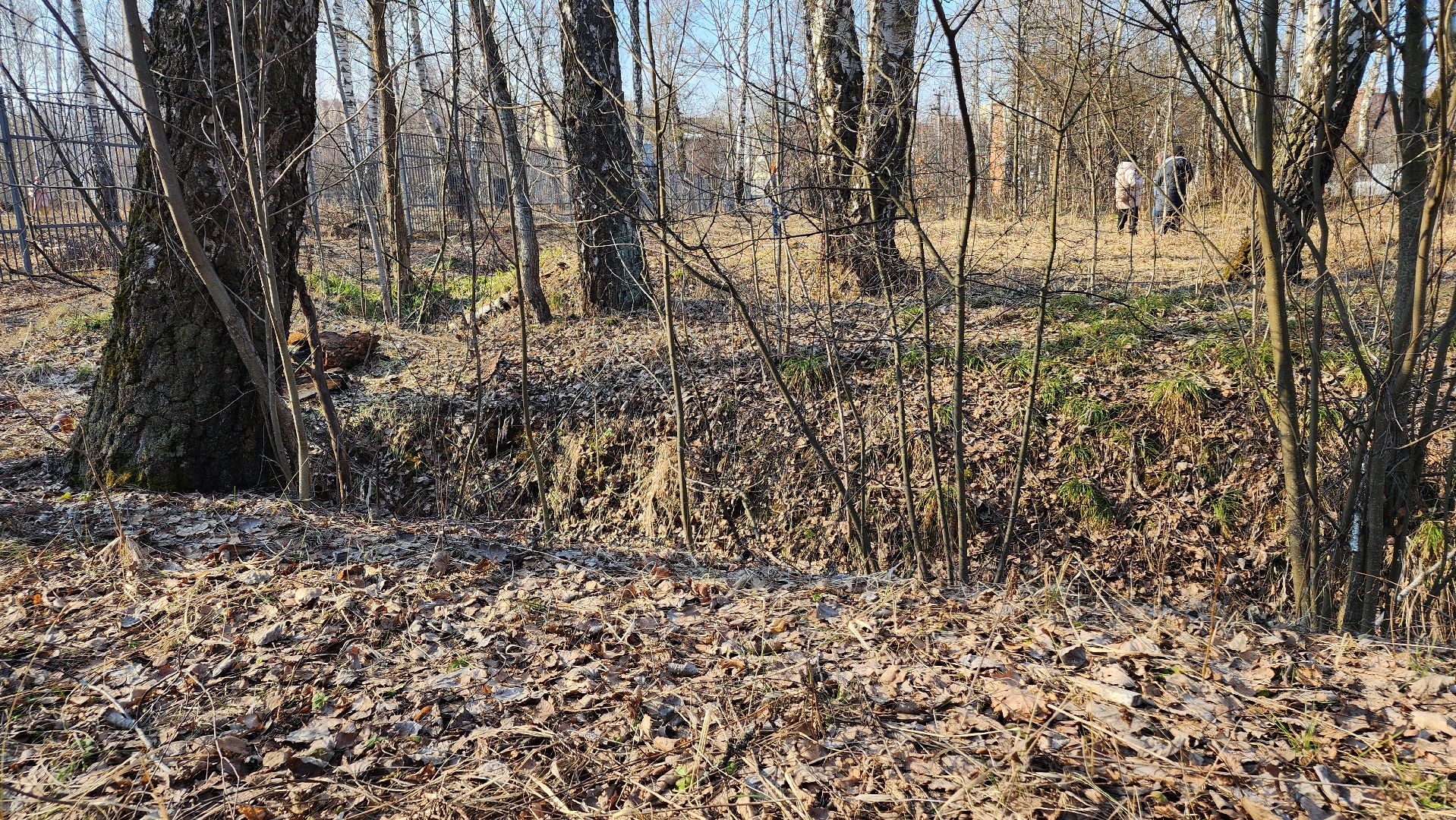 ступино, парки подмосковья, победа, 80 лет победы,