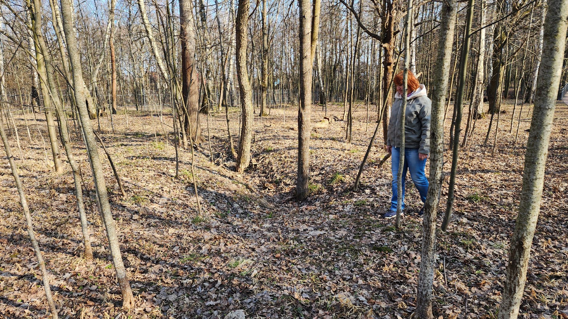 ступино, парки подмосковья, победа, 80 лет победы,