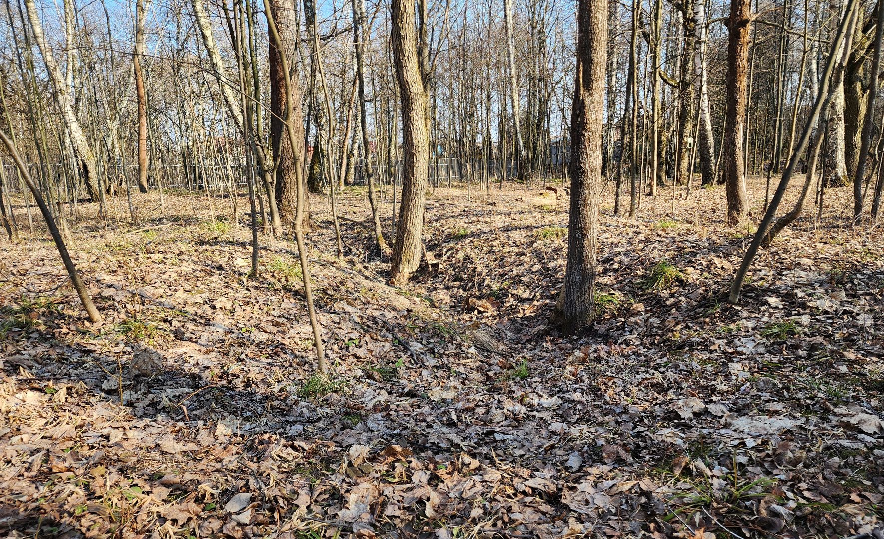 ступино, парки подмосковья, победа, 80 лет победы,