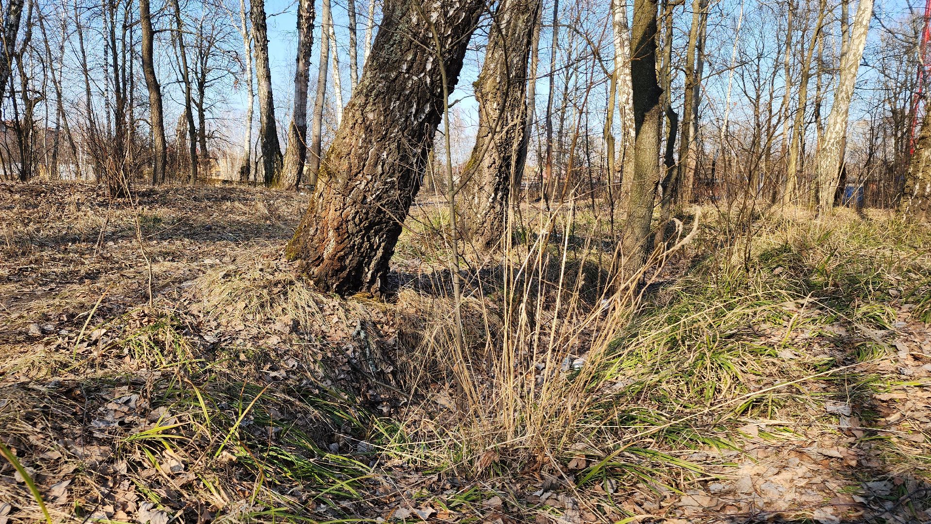 ступино, парки подмосковья, победа, 80 лет победы,