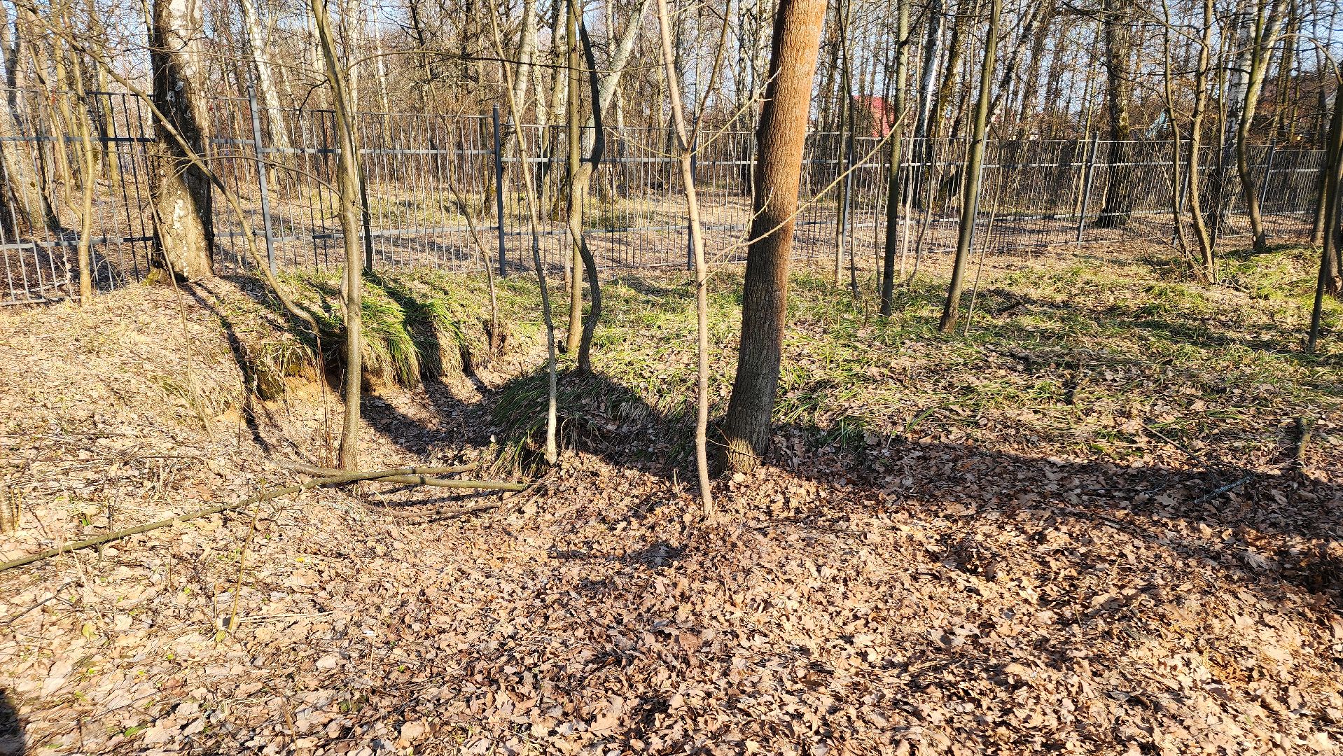 ступино, парки подмосковья, победа, 80 лет победы,