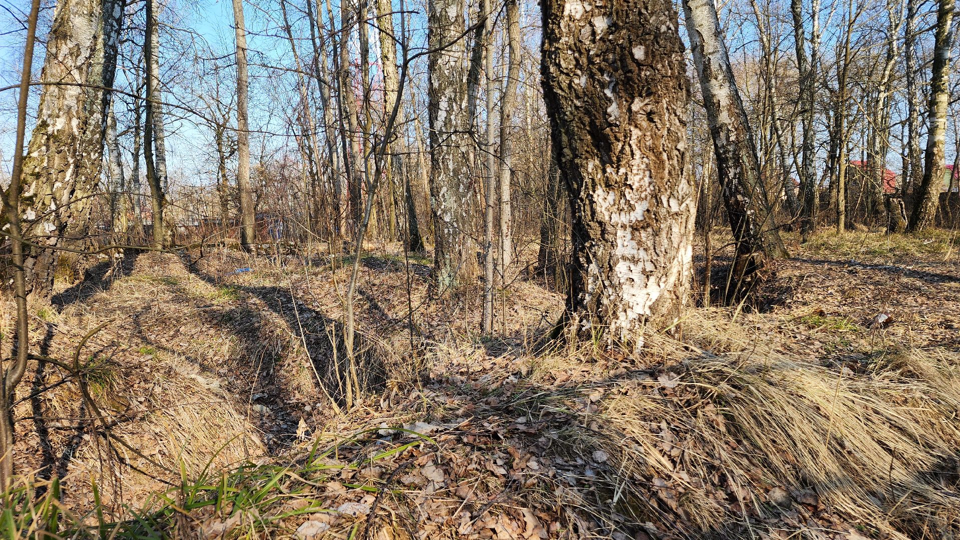 ступино, парки подмосковья, победа, 80 лет победы,