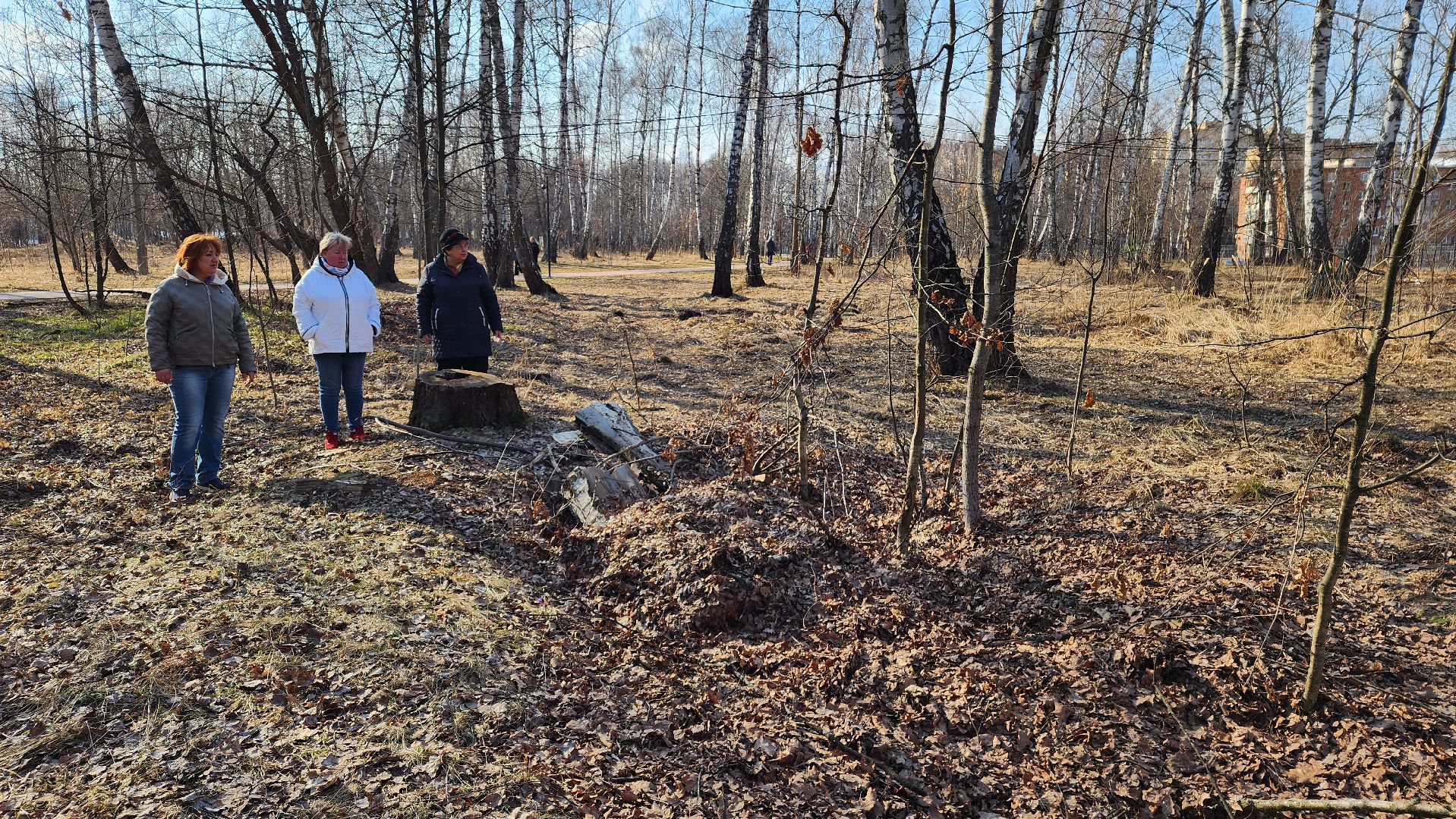 ступино, парки подмосковья, победа, 80 лет победы,