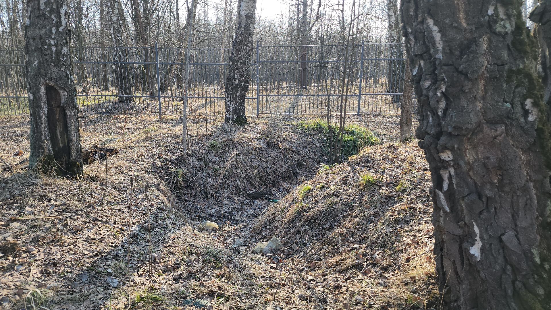 ступино, парки подмосковья, победа, 80 лет победы,