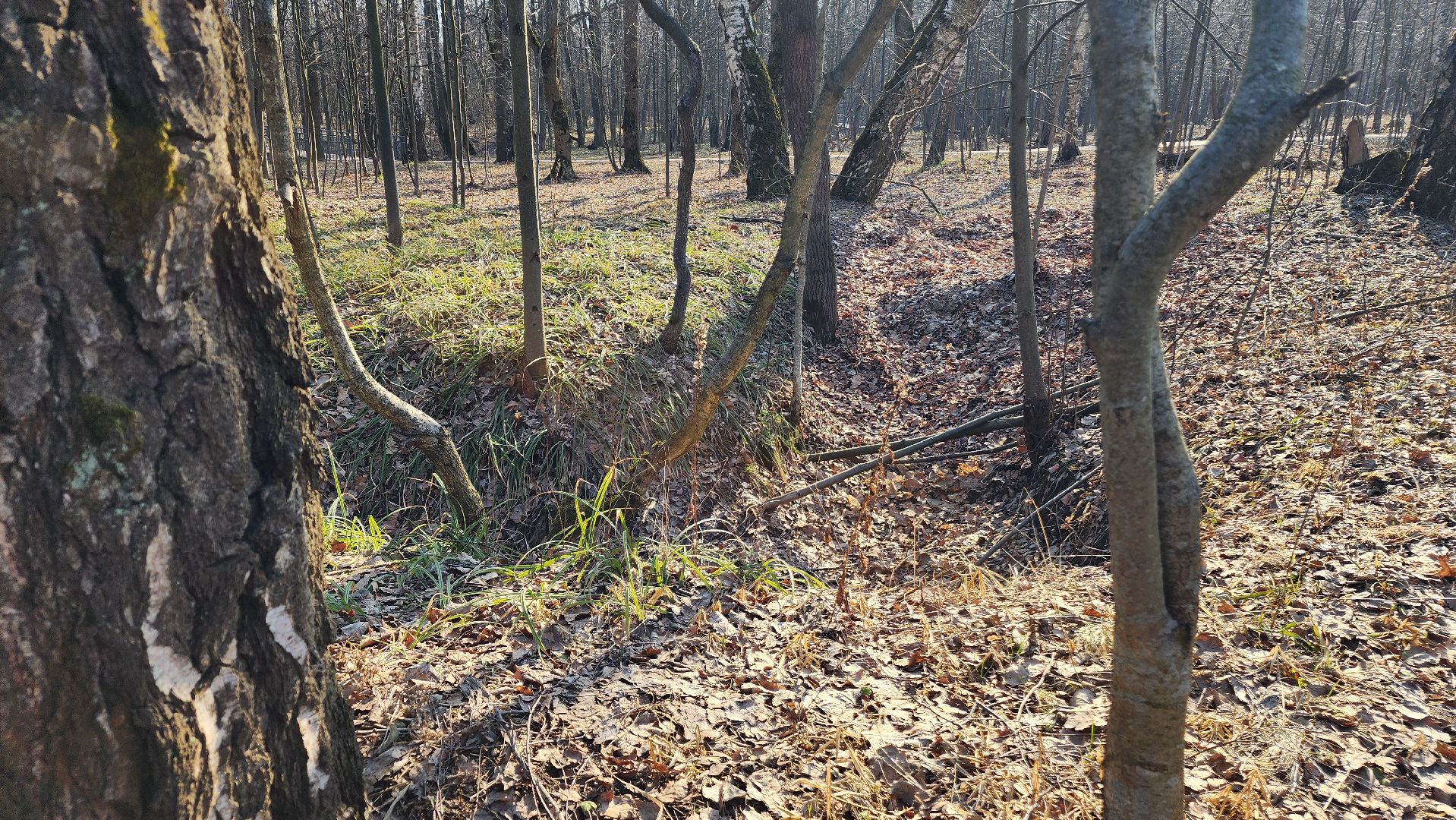 ступино, парки подмосковья, победа, 80 лет победы,