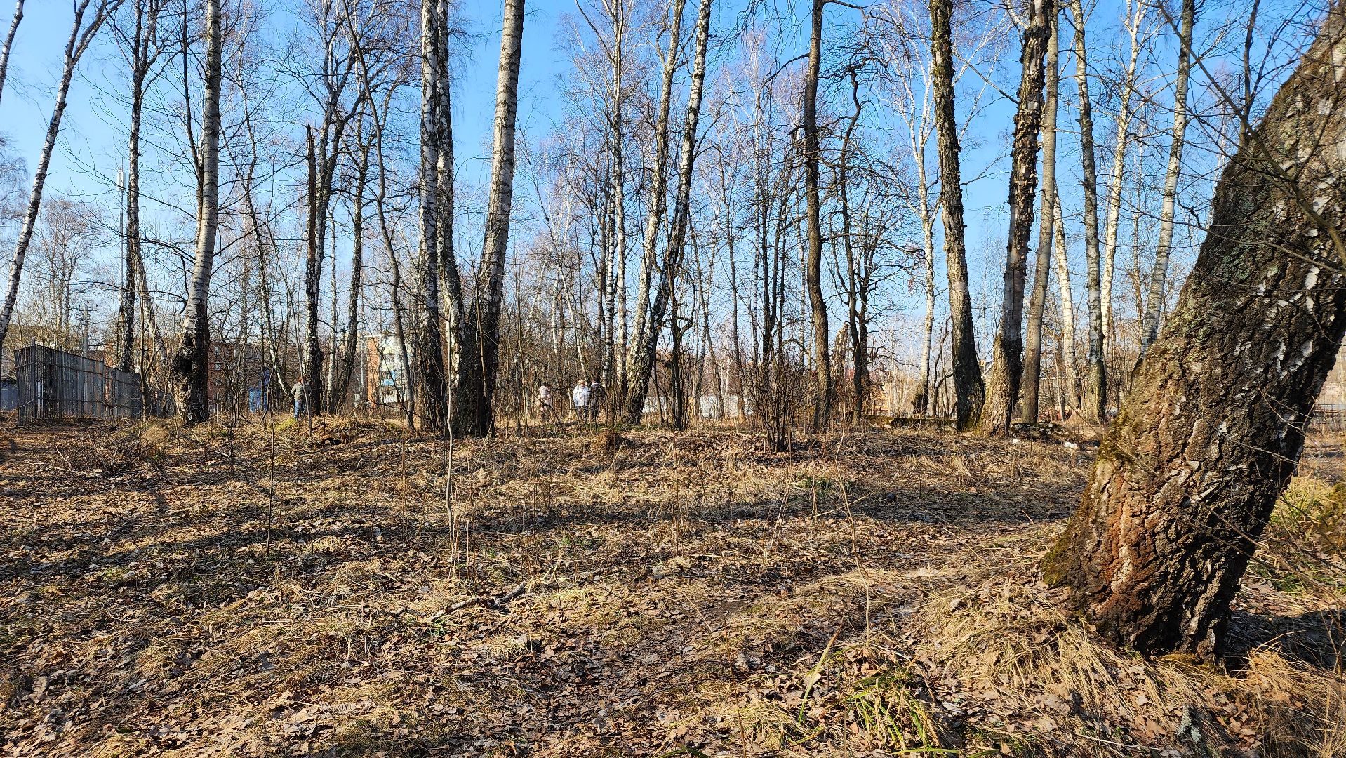 ступино, парки подмосковья, победа, 80 лет победы,