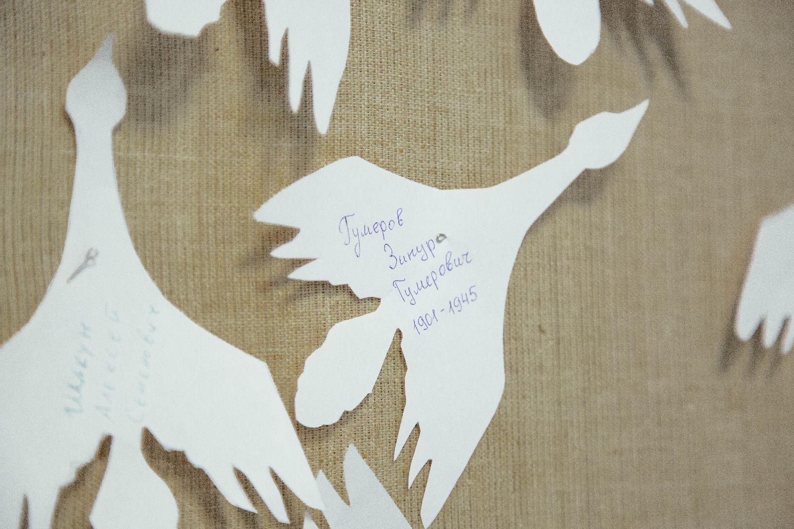 белые журавли, акция, память, вов, Беслан, Крокус, символ,