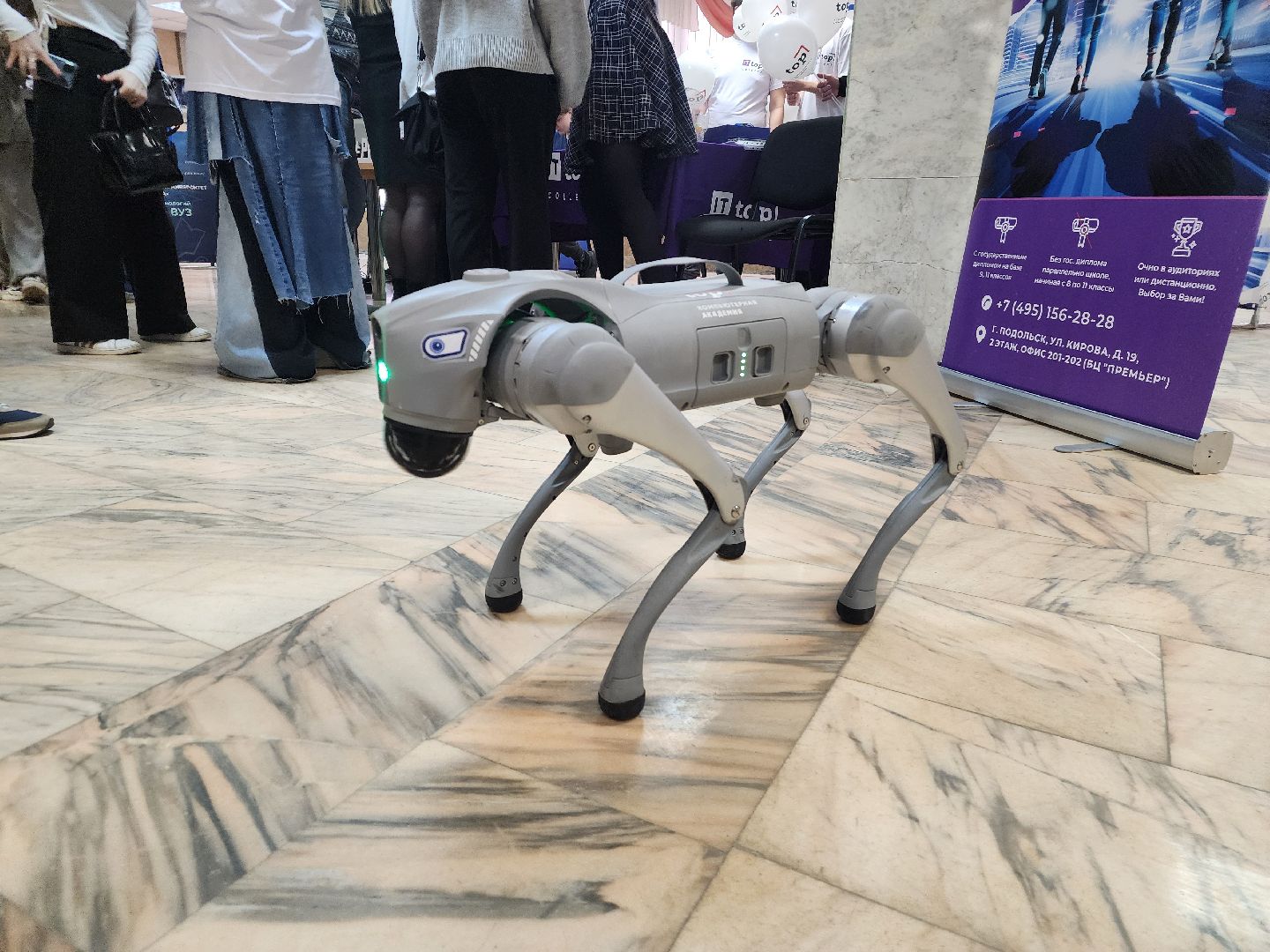 подольск, ярмарка, студенты,