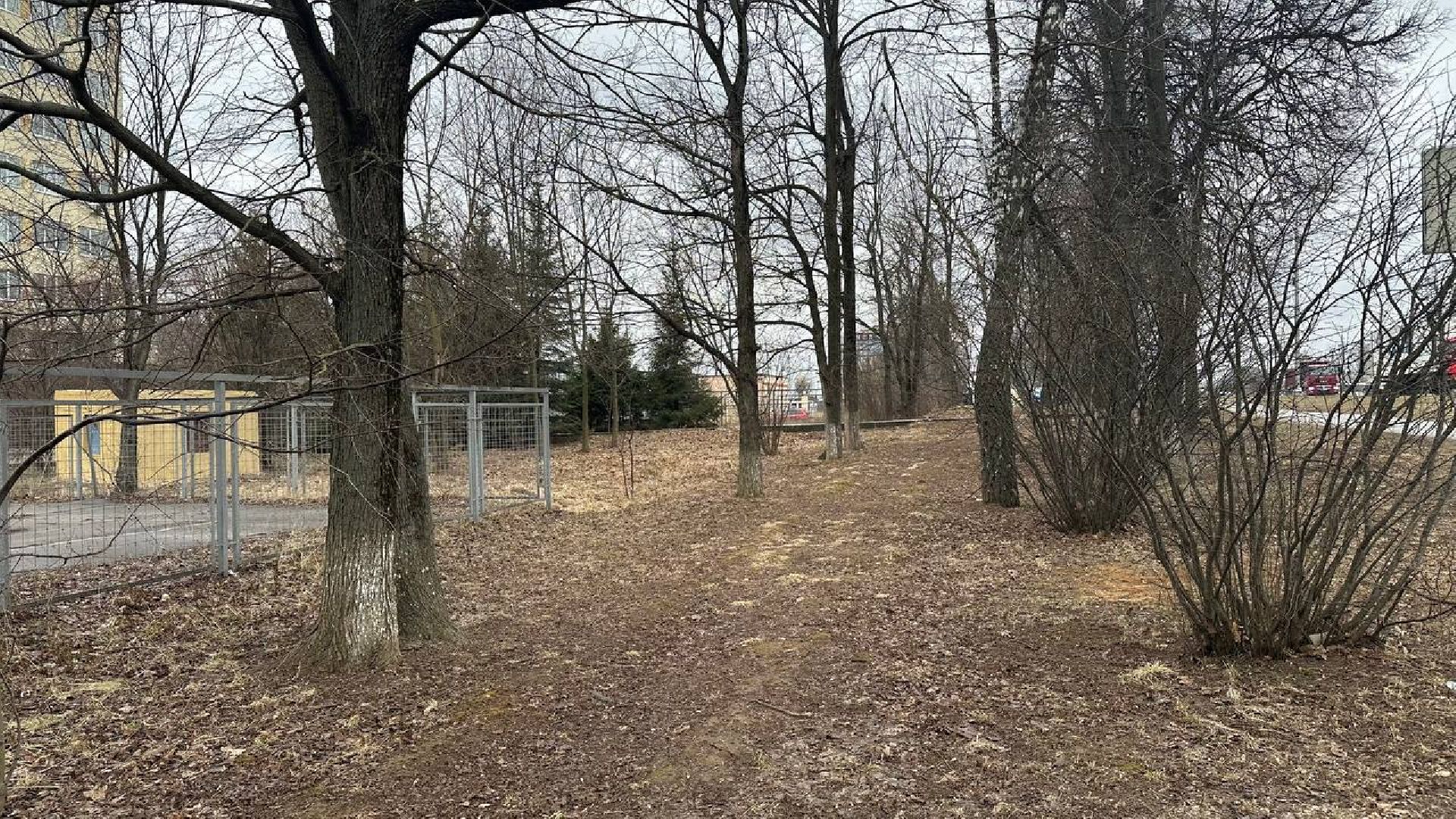 благоуствойство, домодедово, сквер,