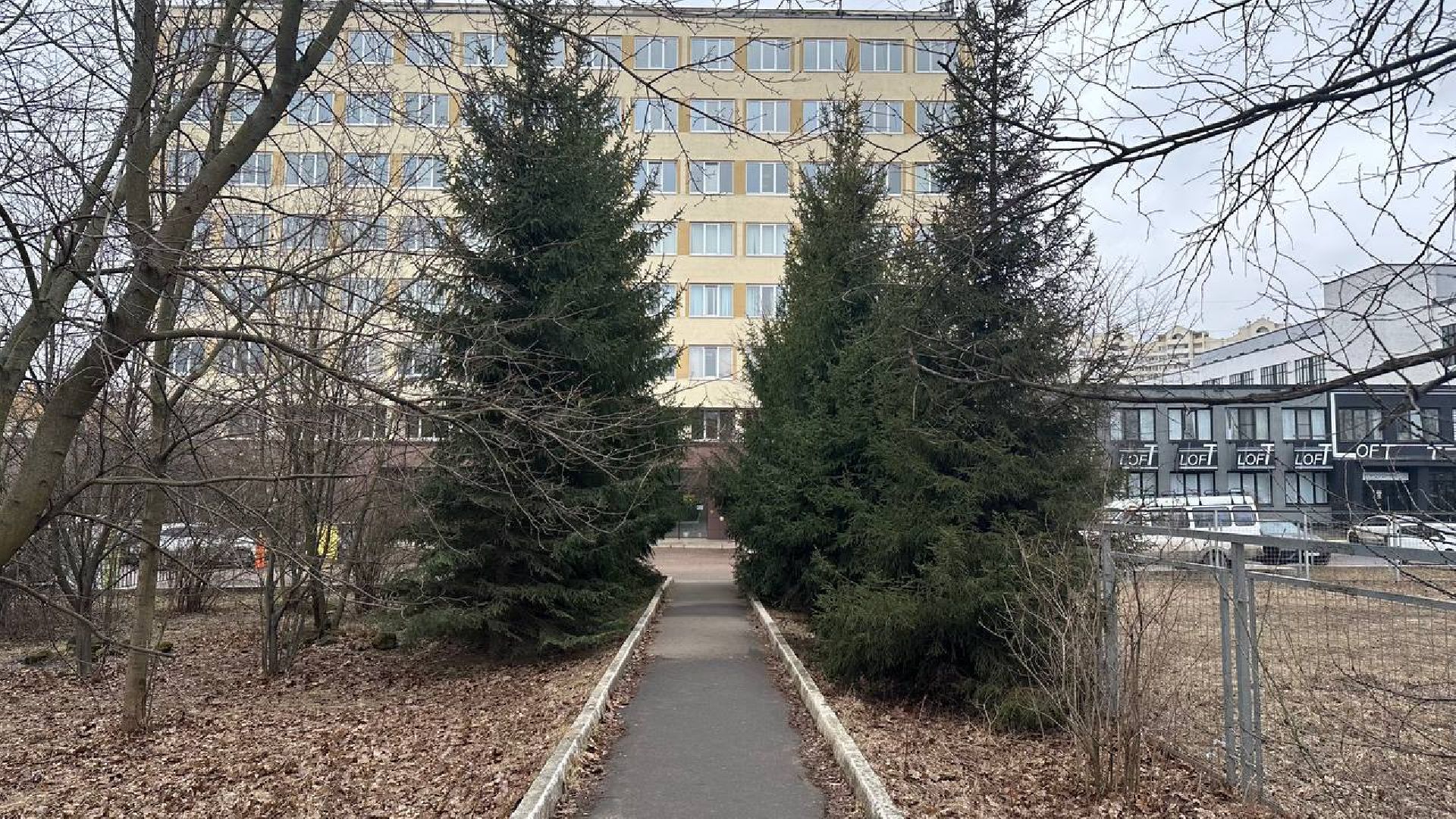 благоуствойство, домодедово, сквер,